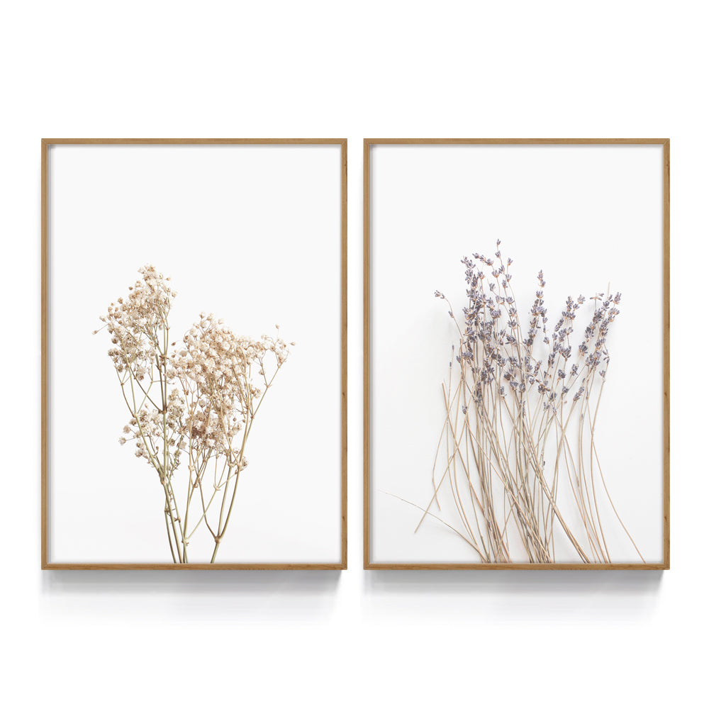 Composição de quadros Duo Botânico Minimal