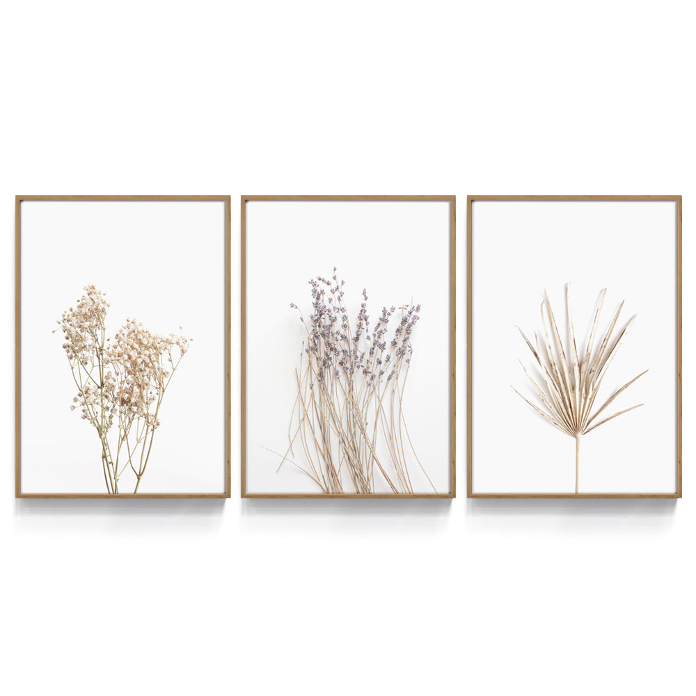 Composição de quadros Trio Botânico Minimal