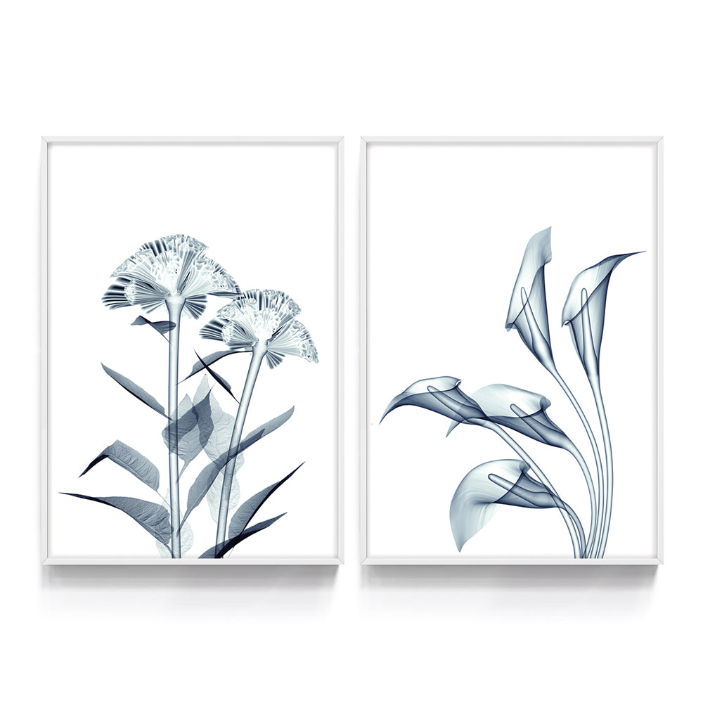 Composição de quadros Duo Raio-X de Flores