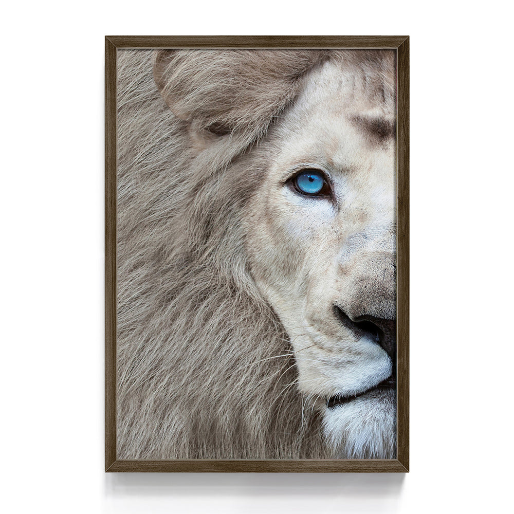 Quadro Leão Branco