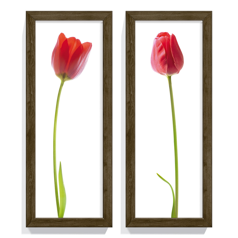 Composição de Quadros Tulipa Vermelha