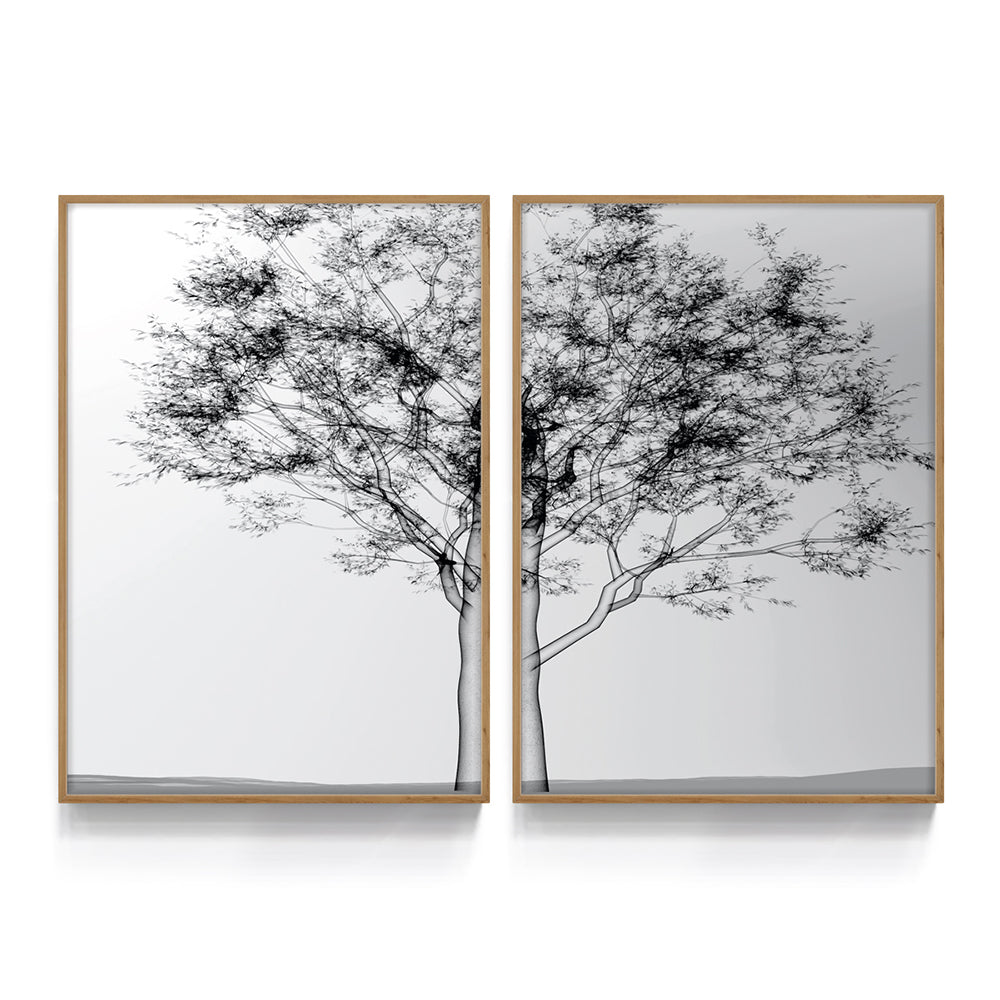 Composição de Quadros Duo Raio-X de Árvore