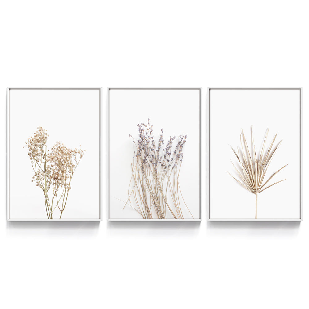 Composição de quadros Trio Botânico Minimal