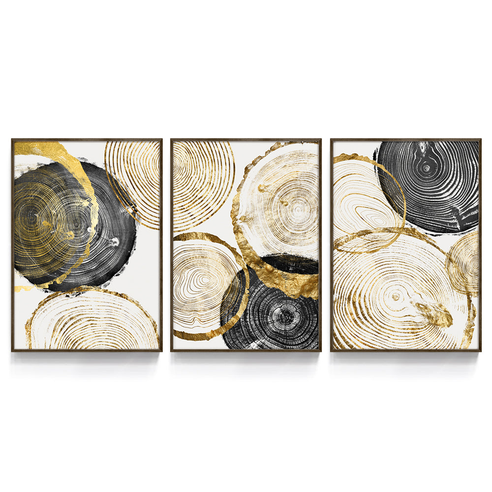 Composição de quadros Trio Círculos Dourados