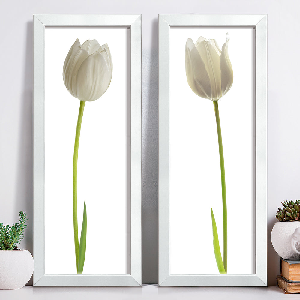 Composição de Quadros Tulipa Branca