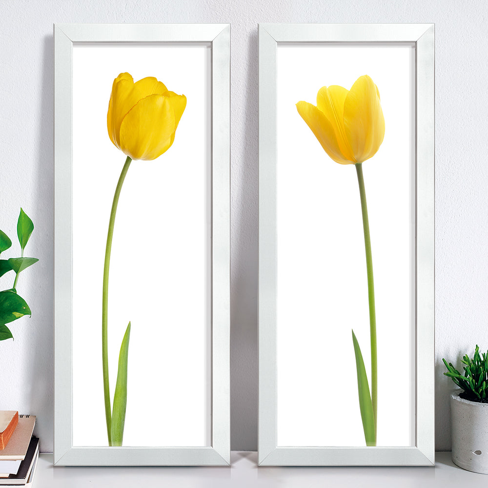 Composição de Quadros Tulipa Amarela