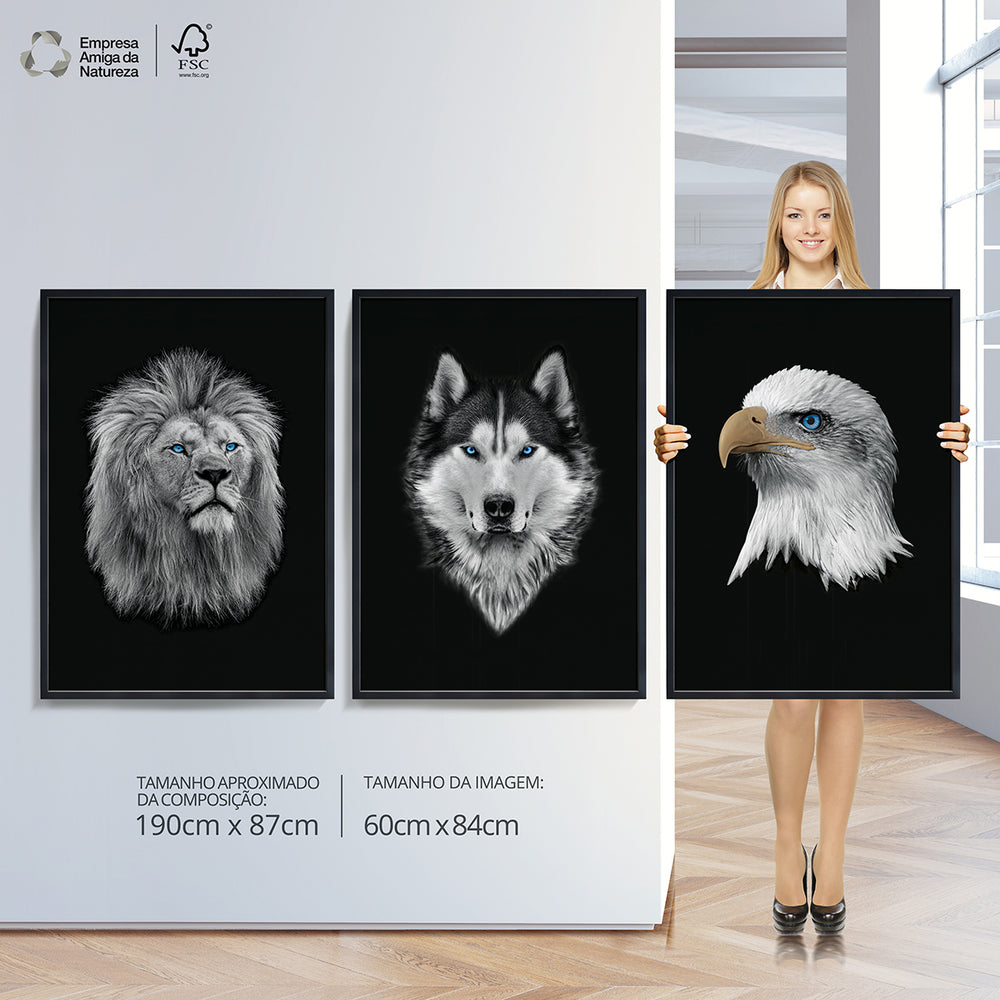 Composição de quadros Preto & Branco, Leão, Lobo e Águia
