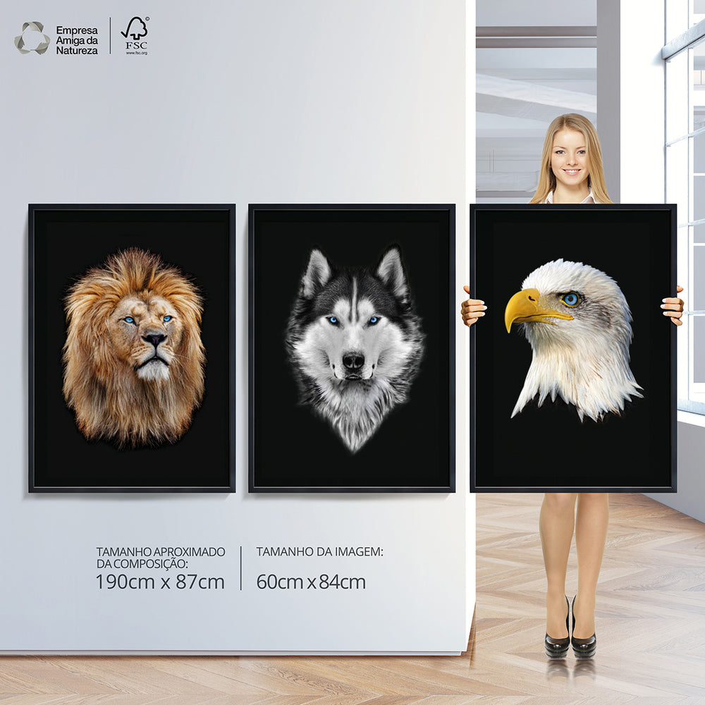 Composição de quadros Leão, Lobo e Águia