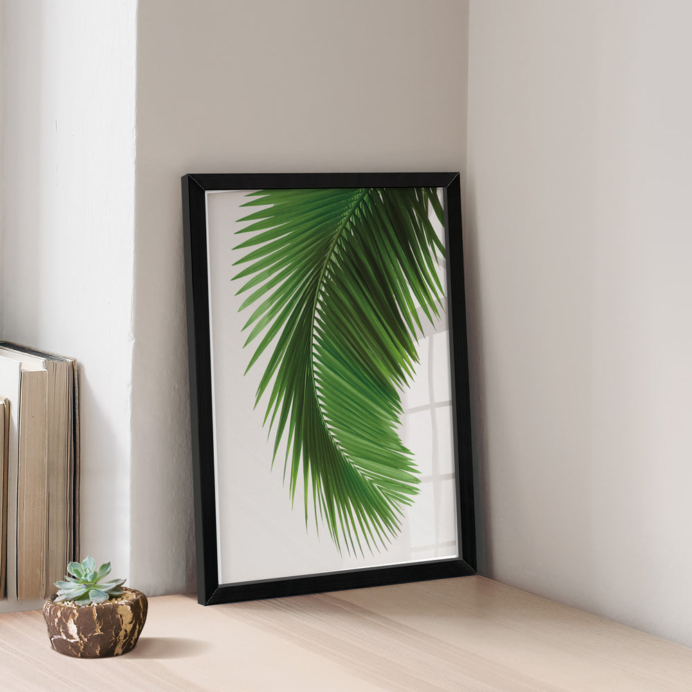 Quadro Botânico Folha de Palmeira