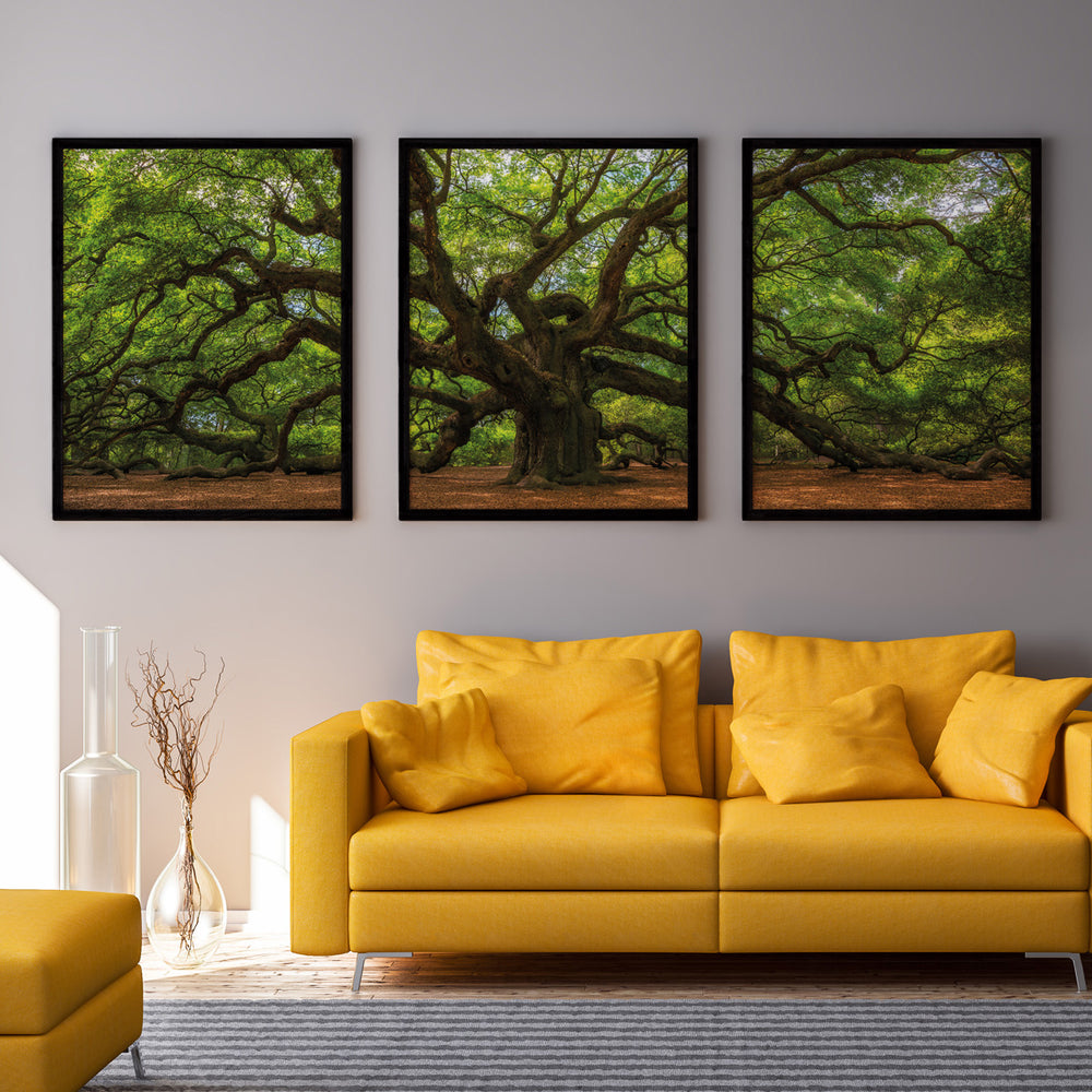 Composição de quadros Árvore Da Vida Verde