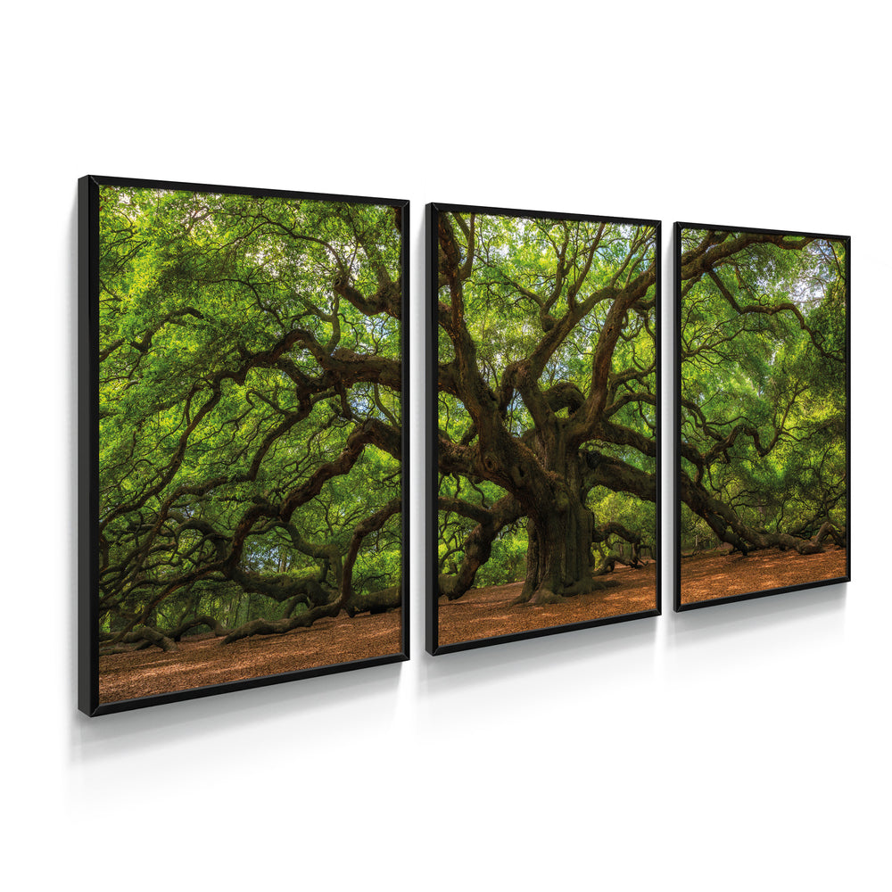 Composição de quadros Árvore Da Vida Verde
