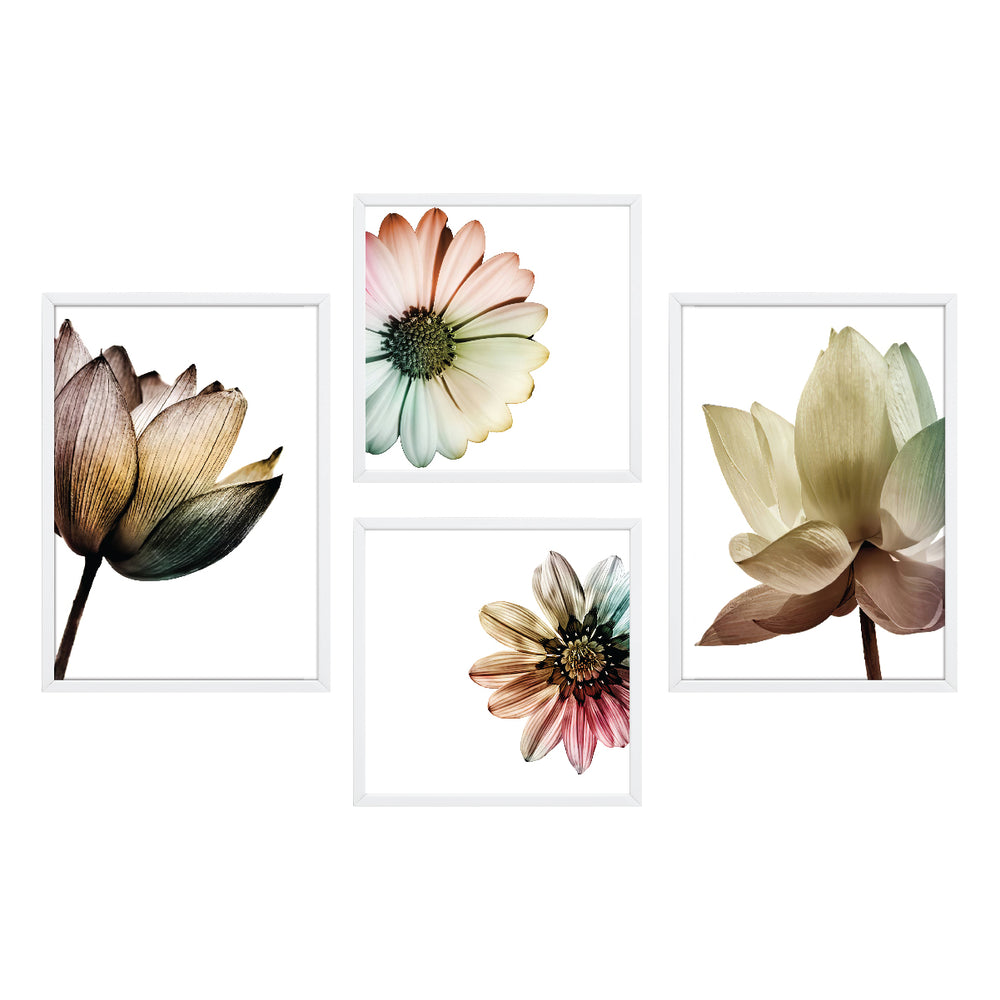 Composição de quadros Flores Color
