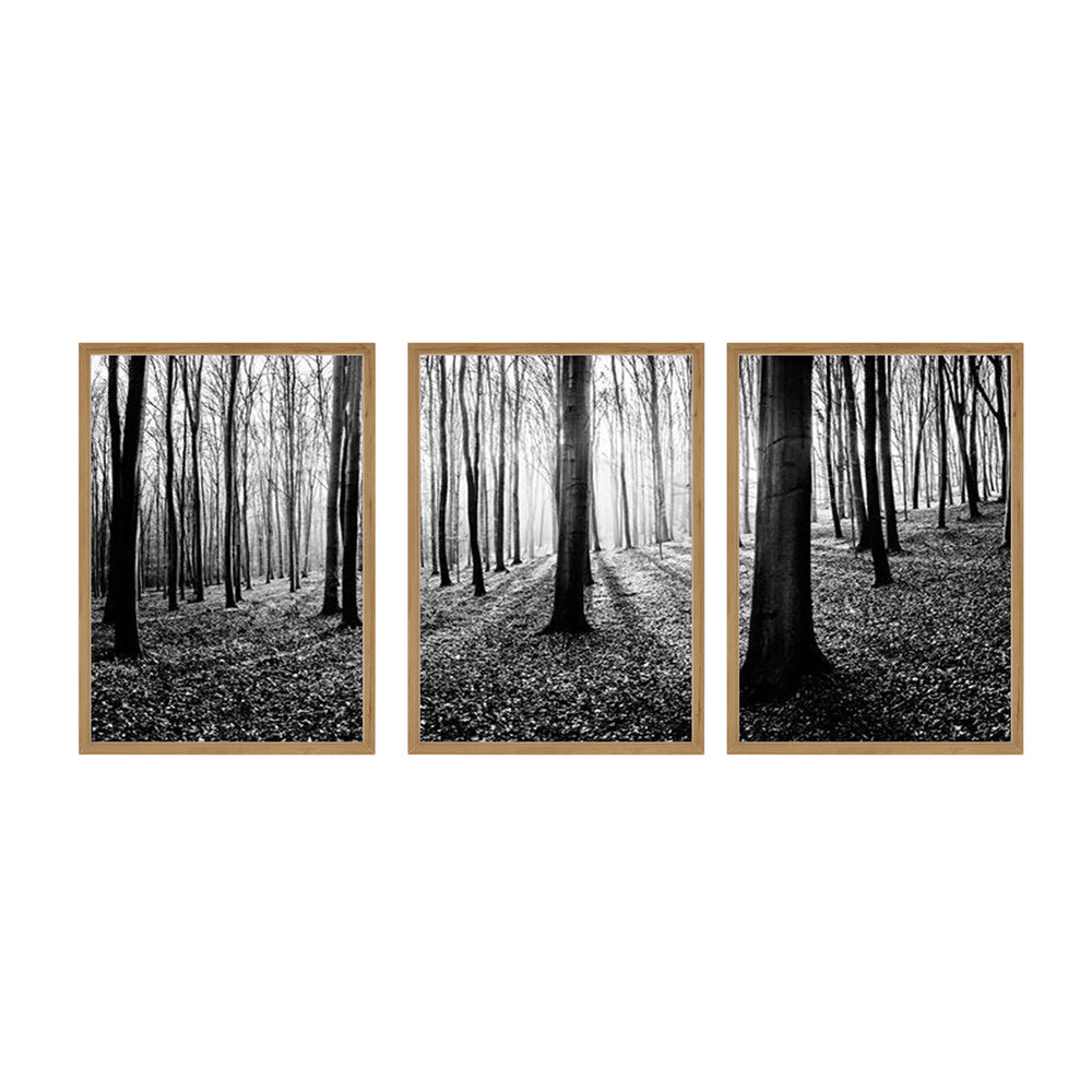 Composição de quadros Floresta Negra