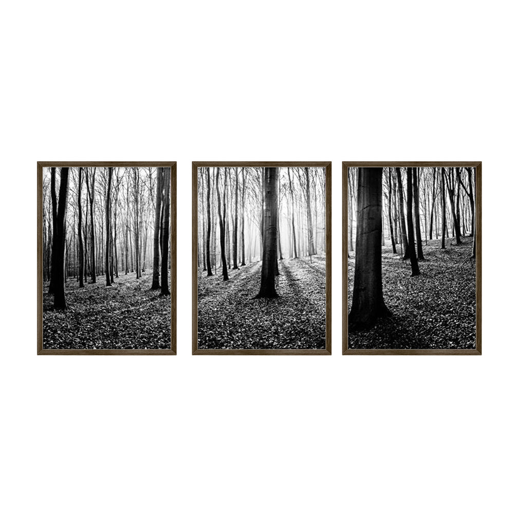 Composição de quadros Floresta Negra