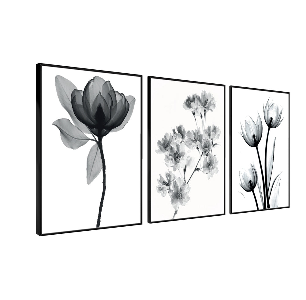 Composição de quadros Flores Preto e Branco